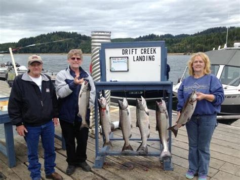 alsea fishing report|alsea river fishing regulations.